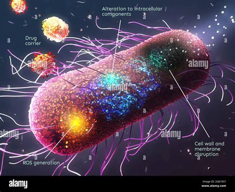 Nanomaterials used against antibiotic-resistant bacteria Stock Photo - Alamy