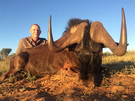 SOUTH AFRICA: Lion Hunt Plus | AfricaHunting.com