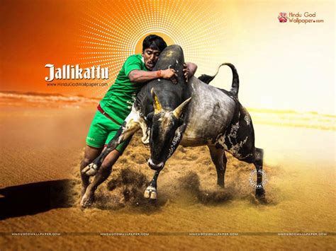 Jallikattu Wallpapers - Wallpaper Cave