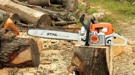 Best Stihl Chainsaws - 2021 Reviews - Backyard Boss