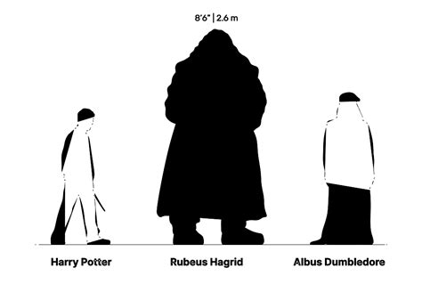 Harry Potter Hagrid Actor Height