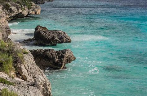 Bonaire Cruise Port Excursions: 4 Ways to Do it On Your Own