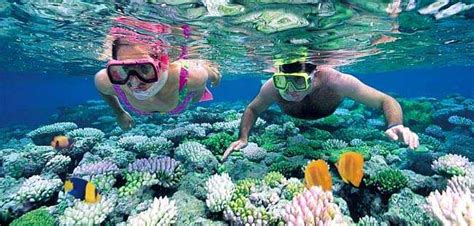 Panama Scuba Diving & Snorkeling Tours in Panama City