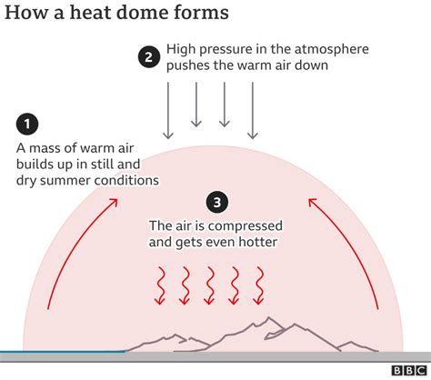 Unusual February heat and the ‘normal abnormal’ in global weather ...