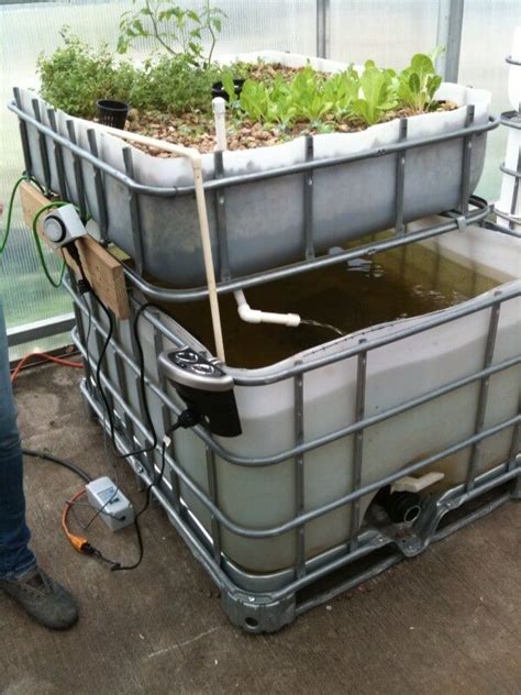 Aquaponics Growbeds - A Beginners Guide - HowtoAquaponic