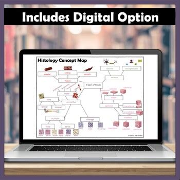 Histology Concept Map for Anatomy & Physiology by Science from Scratch