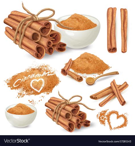 Cinnamon sticks and powder collection Royalty Free Vector