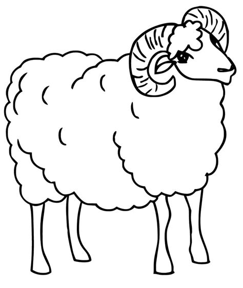 Ram Animal Head Drawing Sketch Coloring Page