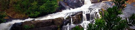 7 Waterfalls in Wayanad You Won't Want to Miss in 2024