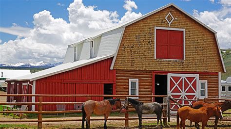 This $45 Million Colorado Ranch Comes With a Free Herd of Bison