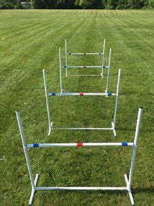 Best Dog Agility Jumps for Official Training (AKC) or Home Exercise