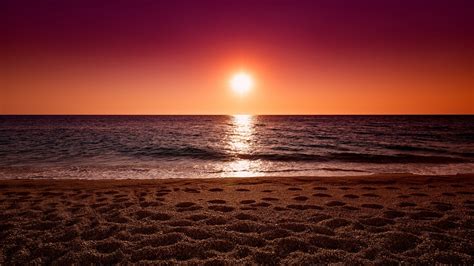 #2000954 beach, sunset, tree, nature - Rare Gallery HD Wallpapers