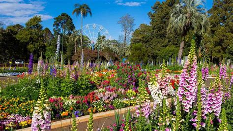 Toowoomba Carnival of Flowers 2021 - Concrete Playground