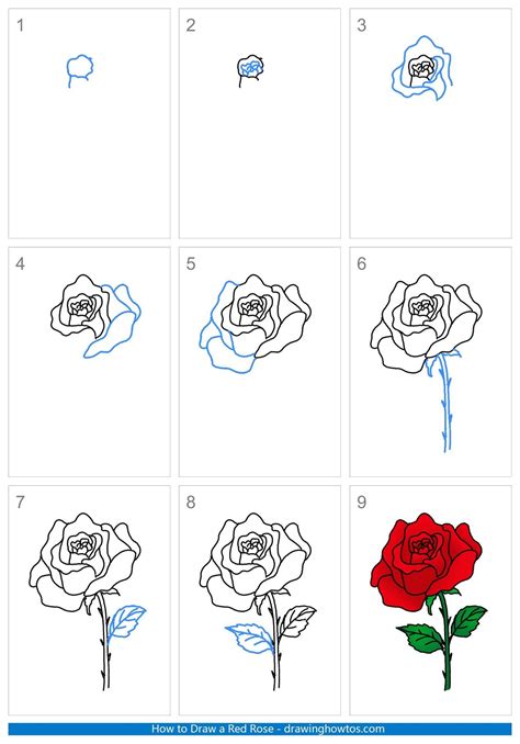 How to Draw a Red Rose - Step by Step Easy Drawing Guides - Drawing ...