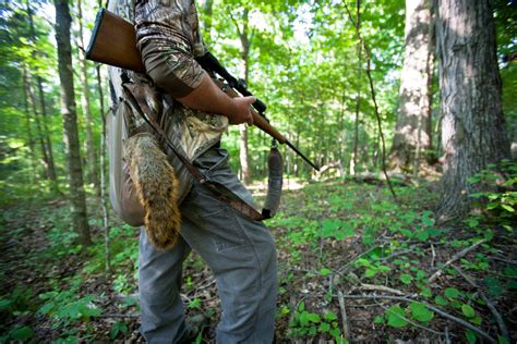 Kentucky Afield Outdoors: In the midst of the summer heat, fall hunting seasons not that far off ...