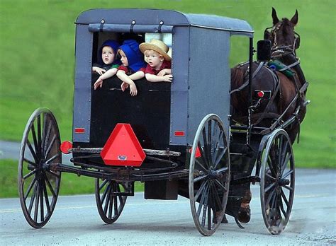 Amish Country Tours- Enjoy the Peaceful Life of Amish Community | Amish ...