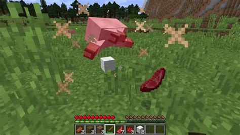 How to get Raw Mutton - Minecraft - YouTube