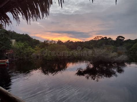 Sunrise of the Amazon Rainforest Stock Image - Image of sunrise, ioga: 252664299