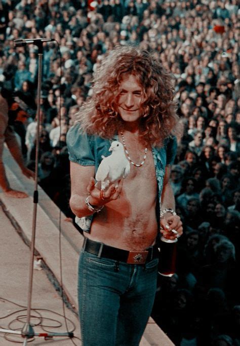 robert plant holding a dove | Led zeppelin, Robert plant led zeppelin ...