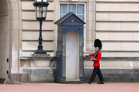 Buckingham Palace guard editorial photo. Image of buckingham - 194150846