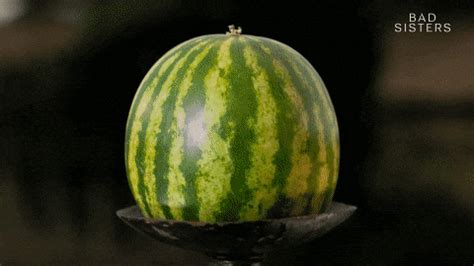 Exploding-watermelon GIFs - Get the best GIF on GIPHY