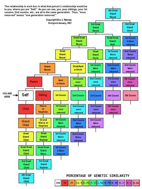 Cousin Relationship Chart | Family tree chart, Family genealogy, Genealogy