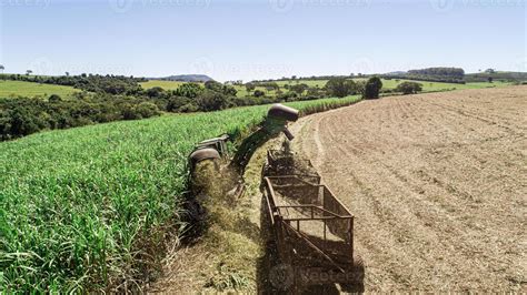 Sugar cane harvest in sunny day in Brazil. Aerial view. 7466358 Stock Photo at Vecteezy