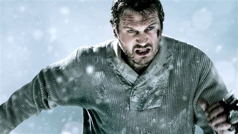 Liam Neeson’s Acclaimed Action Thriller The Grey Is Free to Stream