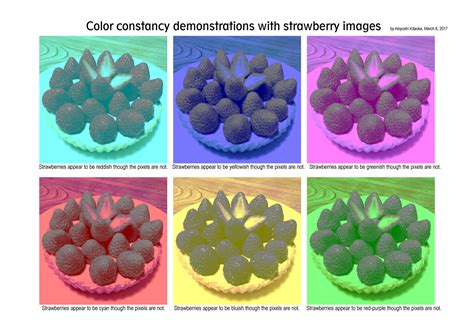 Color Constancy Psychology