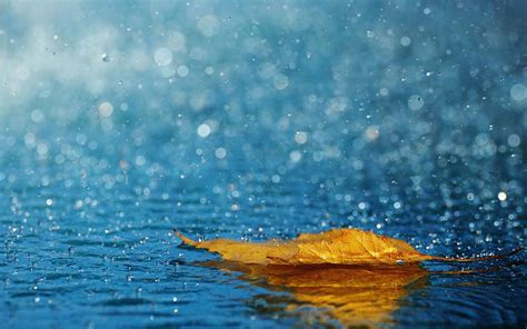 Falling Rain Wallpapers (69+ images)