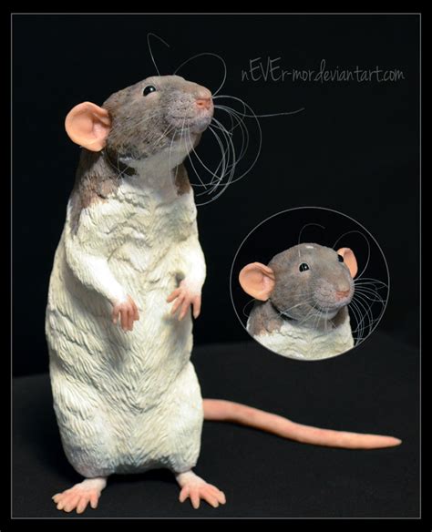 Jasper The Rat - Sculpture by nEVEr-mor on DeviantArt