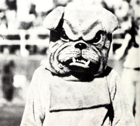 Mississippi State Bulldogs mascot Bully mugs for the camera (1982 ...