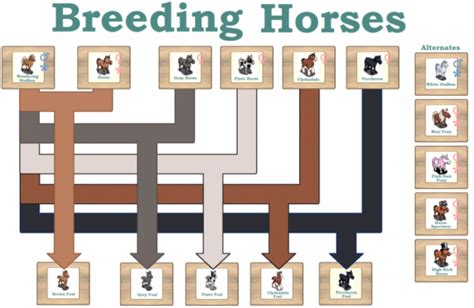 HORSE BREEDING CHART! - Farmville Neighbours