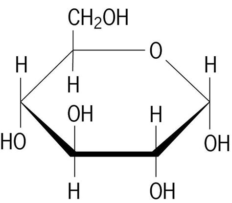 Structural formula, Carbohydrates biology, Macromolecules