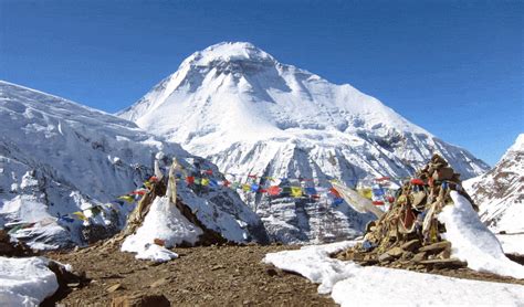 Dhaulagiri Base Camp Trek - Alpine Himalaya