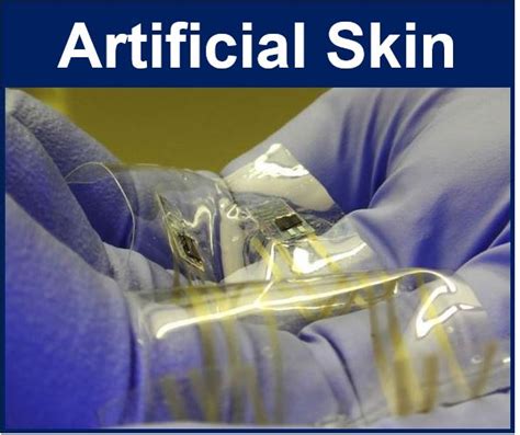 Artificial skin that senses things could revolutionize prosthetics ...