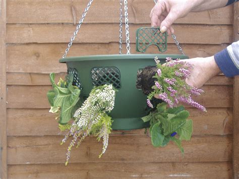 filling-easy-fill-hanging-baskets - Suttons Gardening Grow How