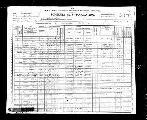 1900 Census, Loudon County, Tennessee