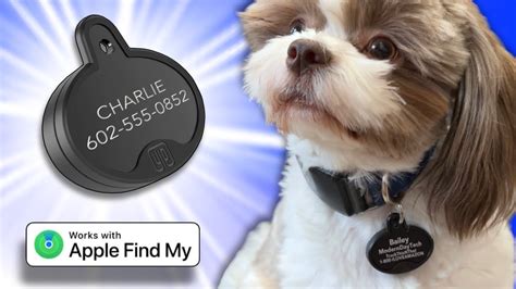 2-in-1 Pet Tag - an Apple Find My Tracker & Pet Identification - like ...