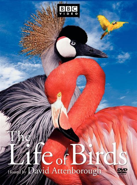 The Life of Birds by David Attenborough - The Peabody Awards