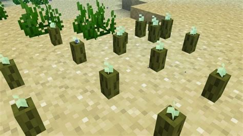 Minecraft Sea Pickle: Location, uses and more!