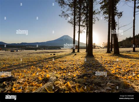 Mount Fuji Sunrise Stock Photo - Alamy