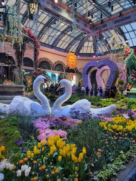 Bellagio Botanical Gardens | Nevada Photo Spot - PIXEO