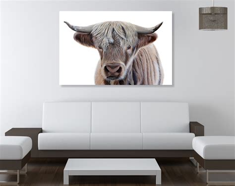 Highland Cow Art Print. Scottish Native Cow Wall Art. - Etsy