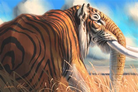 Tigerphat - Tiger Elephnat Hybrid by ablaise on DeviantArt