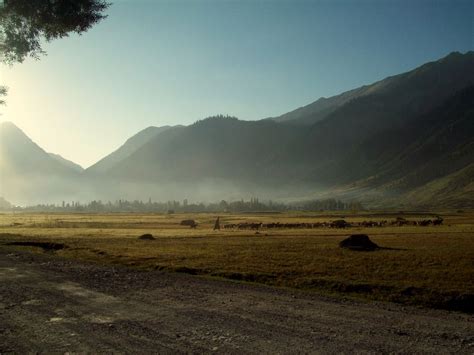 Gurez Valley (Jammu and Kashmir), What to Know Before Trip to Gurez ...