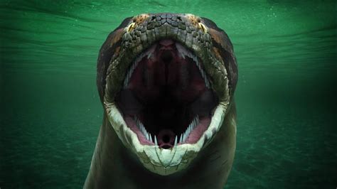 TITANOBOA A MAIOR COBRA DO MUNDO IMPRESSIONANTE ! - YouTube