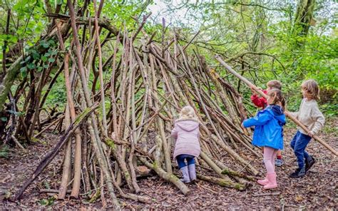 Forest Skills Day, Occombe Farm, Paignton, February 12 2024 | AllEvents.in