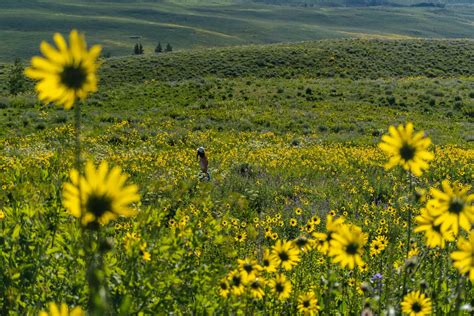 10 Epic Summer Hikes in Colorado - Adventuring Eyes