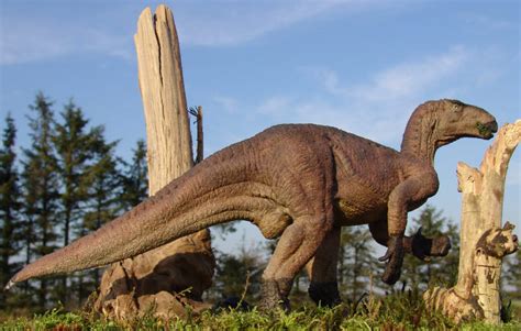 Iguanodon - ----Primal Rift----